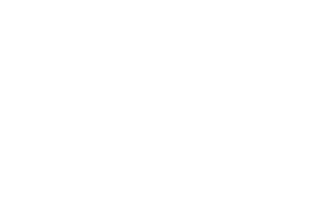 LOGOadesqbranca2